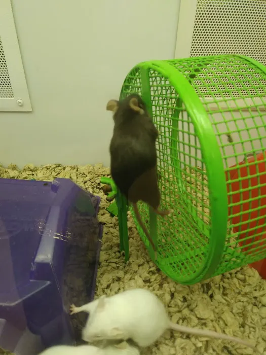 Petco Picture 7