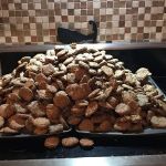 Brew Biscuits