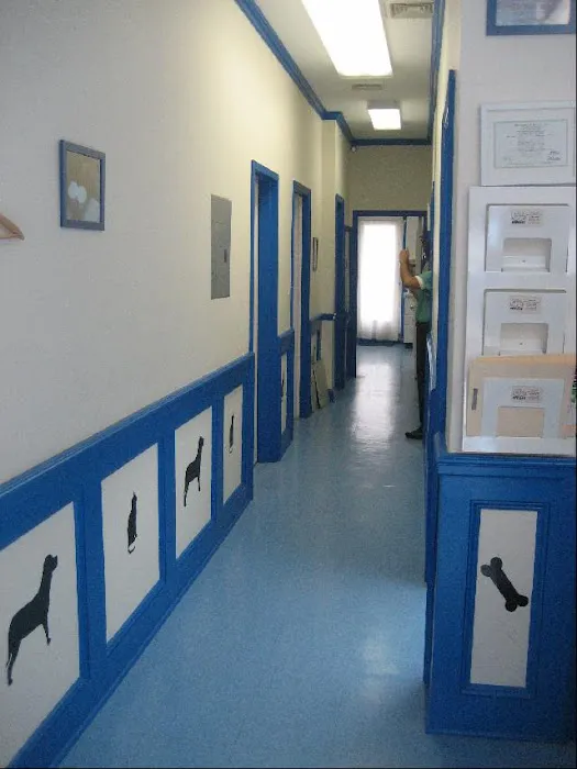 Healthy Pets Veterinary Services Picture 7