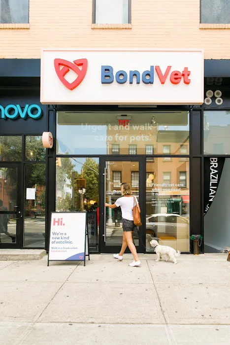 Bond Vet - Cobble Hill Picture 10