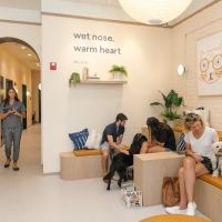 Bond Vet - Cobble Hill ico