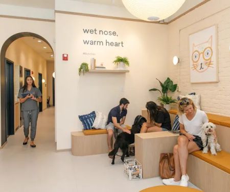 Bond Vet - Cobble Hill
