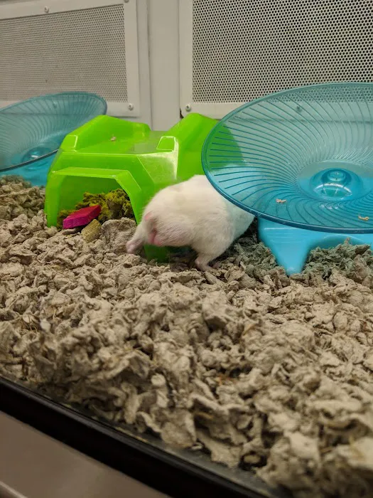 Petco Picture 7