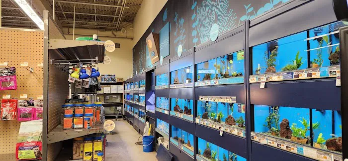 Petco Picture 4