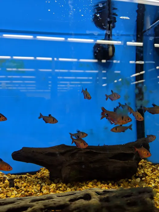 Petco Picture 6