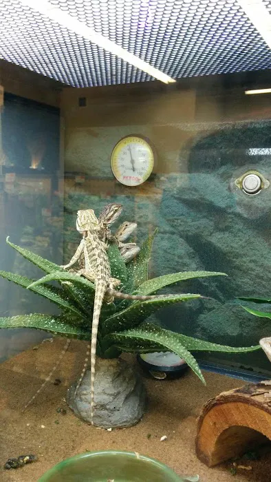 Petco Picture 5