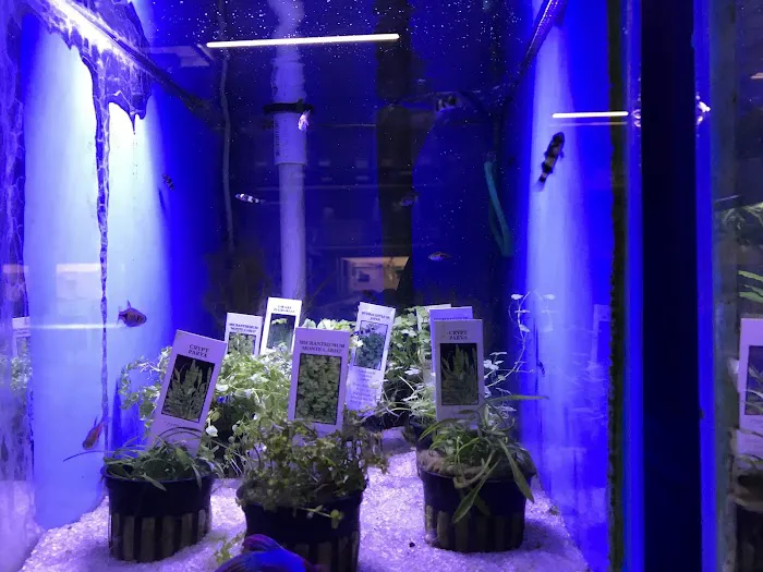 Fish Nook Pet Center Picture 2