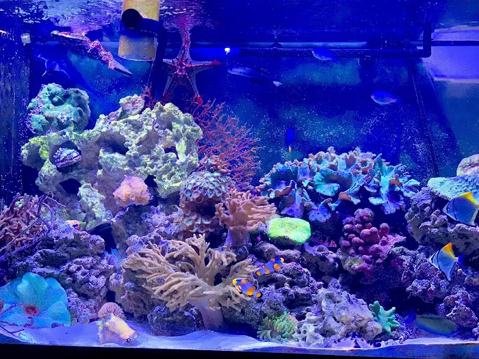 Fish Nook Pet Center Picture 6