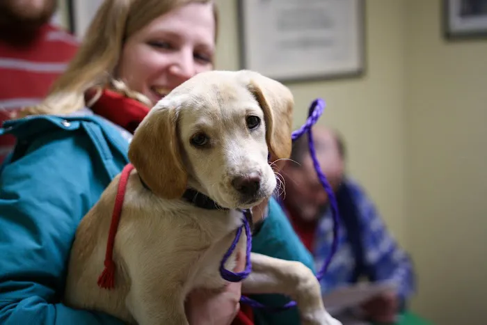 East Hampton Veterinary Group Picture 8