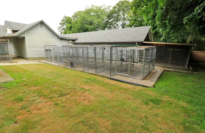 East Hampton Veterinary Group Picture 6