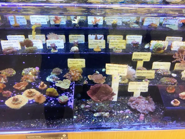 Petco Picture 2