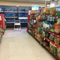 Petco ico