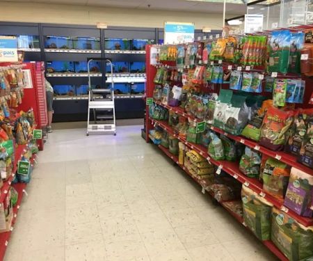 Petco