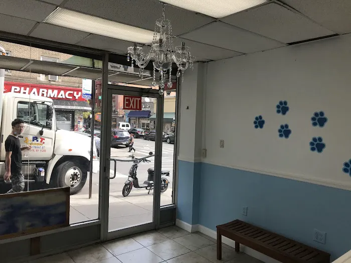 Fordham Veterinary Clinic Picture 1