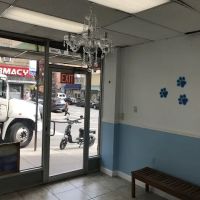 Fordham Veterinary Clinic ico
