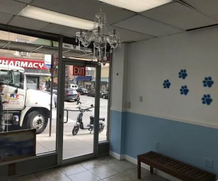 Fordham Veterinary Clinic