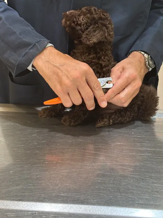 Fordham Veterinary Clinic Picture 8