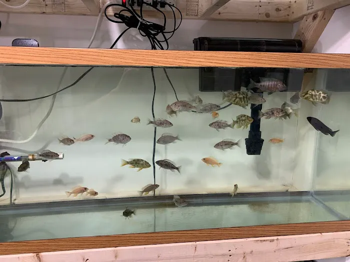 Little Rivers Aquatics Picture 8