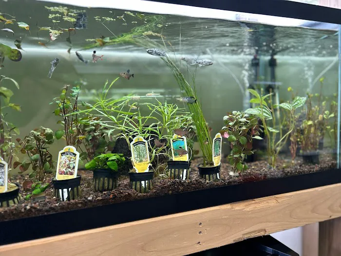 Little Rivers Aquatics Picture 5