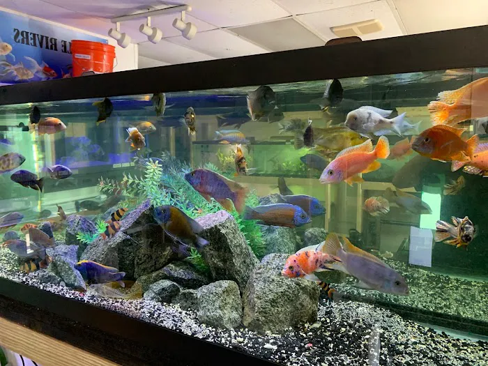 Little Rivers Aquatics Picture 7