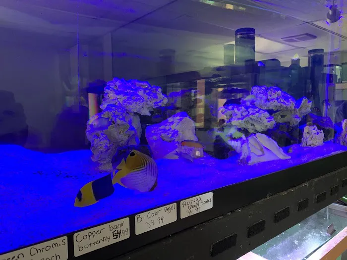 Little Rivers Aquatics Picture 9