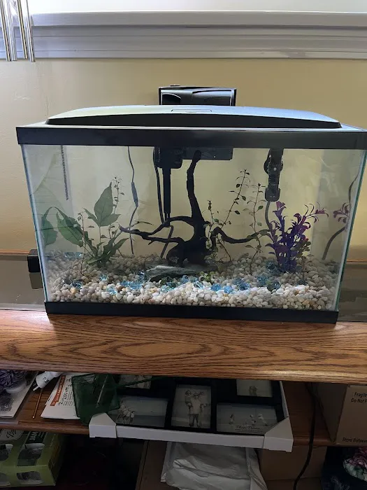 Little Rivers Aquatics Picture 4