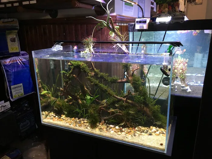 Aquastetics Picture 6