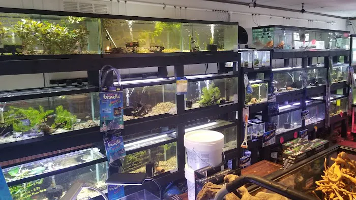 Aquastetics Picture 2