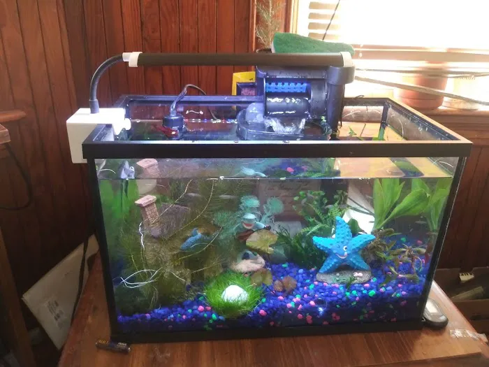 Aquastetics Picture 3