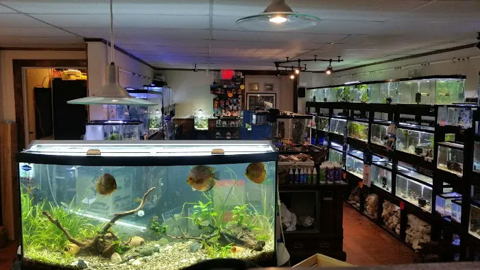 Aquastetics Picture 8