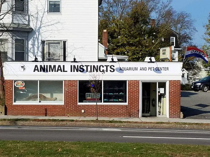 Animal Instincts Aquarium and Pet Center Picture 10