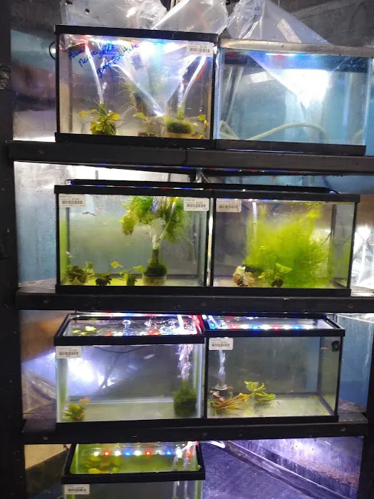 Animal Instincts Aquarium and Pet Center Picture 6