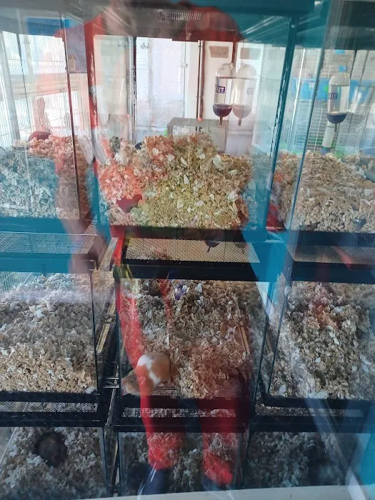 Animal Instincts Aquarium and Pet Center Picture 3
