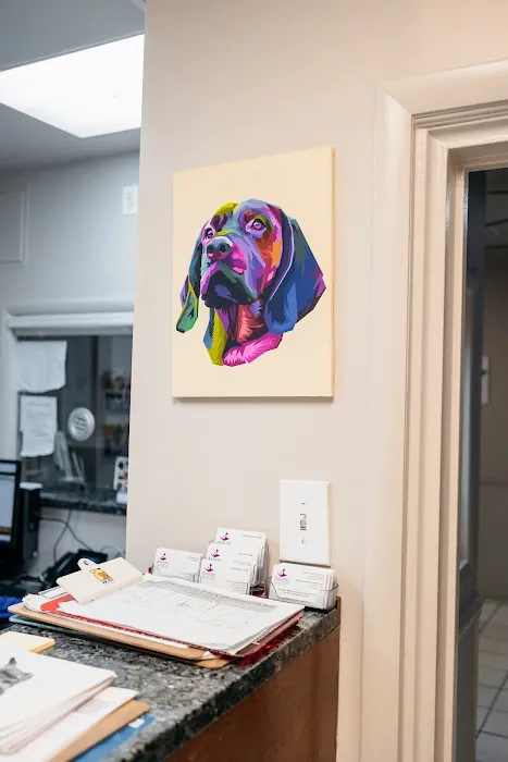 Armory Dog & Cat Hospital Picture 9