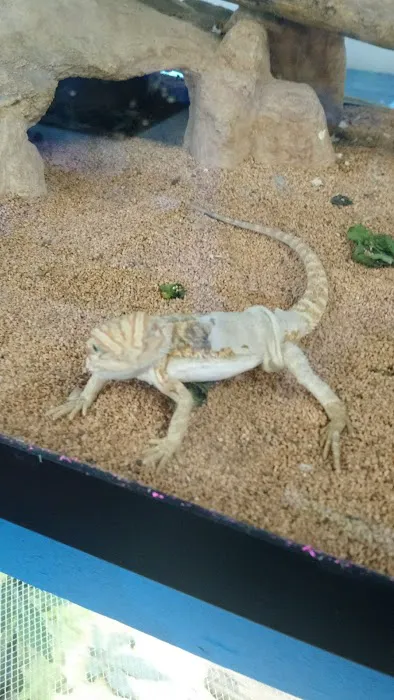 Fish Bowl Aquarium and Pet Mart Picture 2