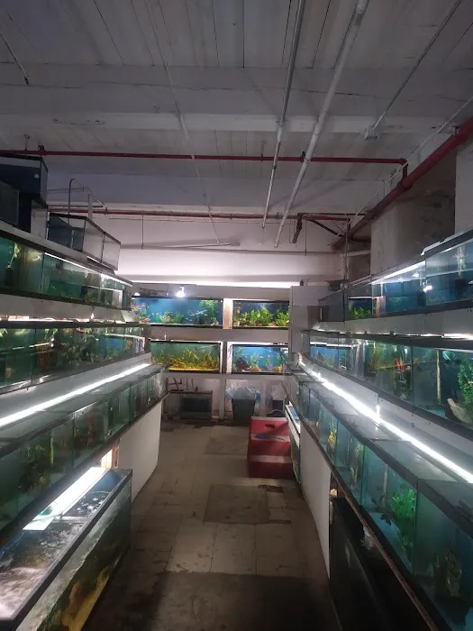 Fish Bowl Aquarium and Pet Mart Picture 5