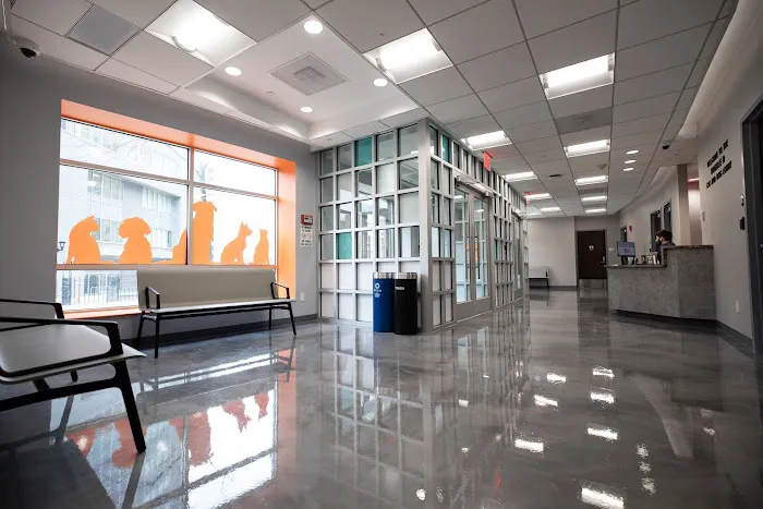 ASPCA Community Veterinary Clinic (Appointment Only) Picture 2