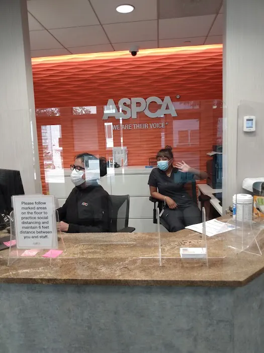ASPCA Community Veterinary Clinic (Appointment Only) Picture 4