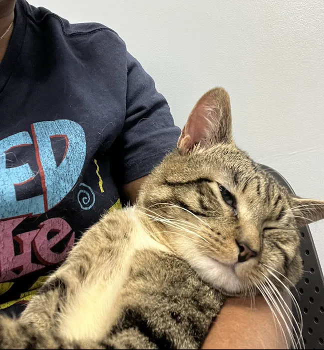 ASPCA Community Veterinary Clinic (Appointment Only) Picture 9