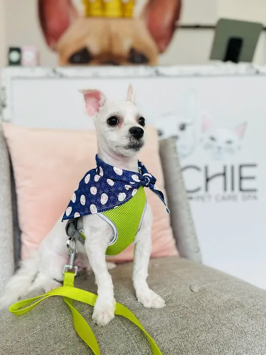 ARCHIE PET CARE SPA Picture 6