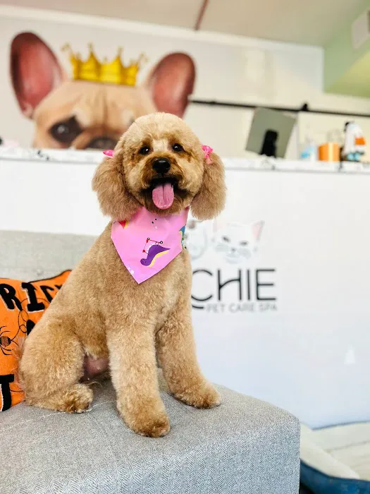 ARCHIE PET CARE SPA Picture 2