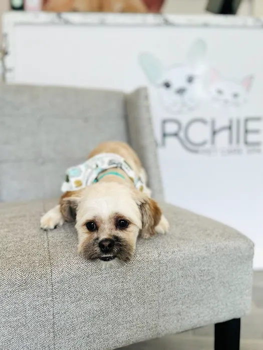 ARCHIE PET CARE SPA Picture 8