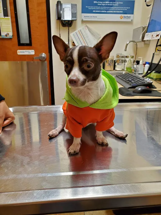 Banfield Pet Hospital Picture 5