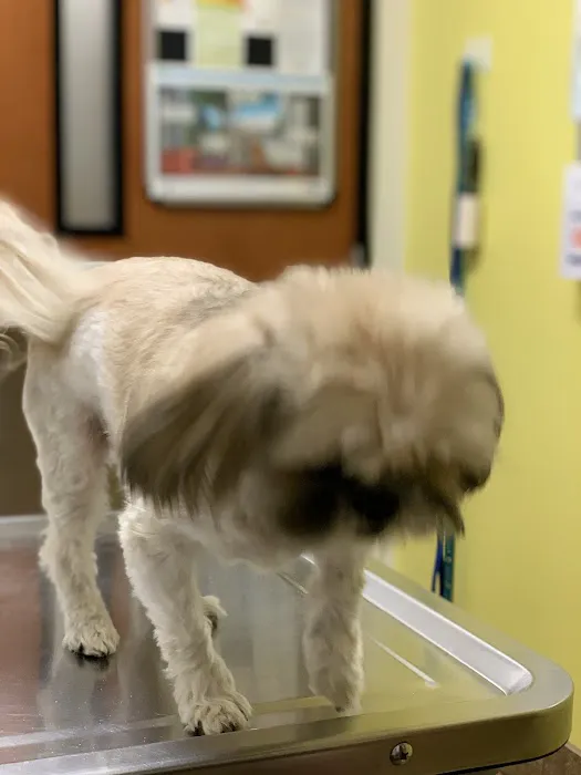 Banfield Pet Hospital Picture 4