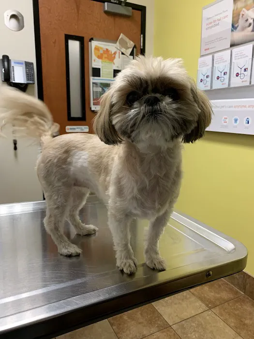 Banfield Pet Hospital Picture 3