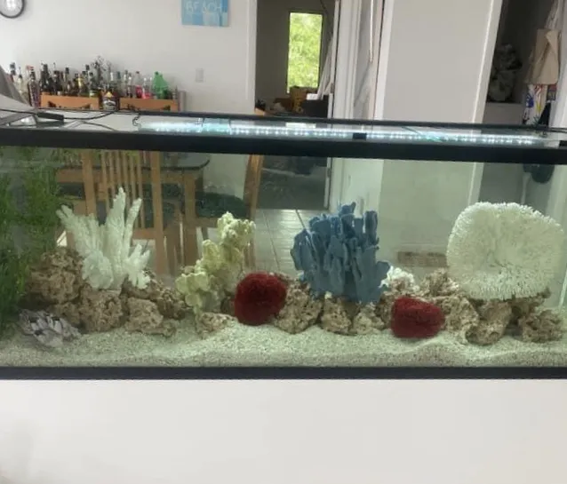 Above & Beyond Aquarium Service Picture 4