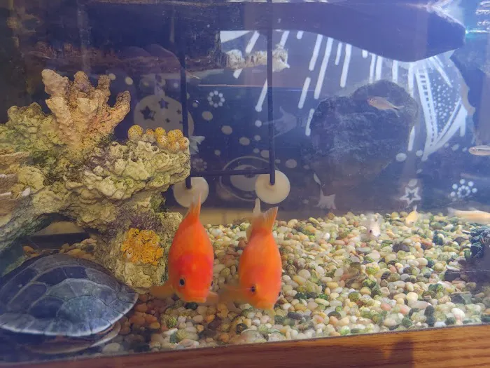 Above & Beyond Aquarium Service Picture 1
