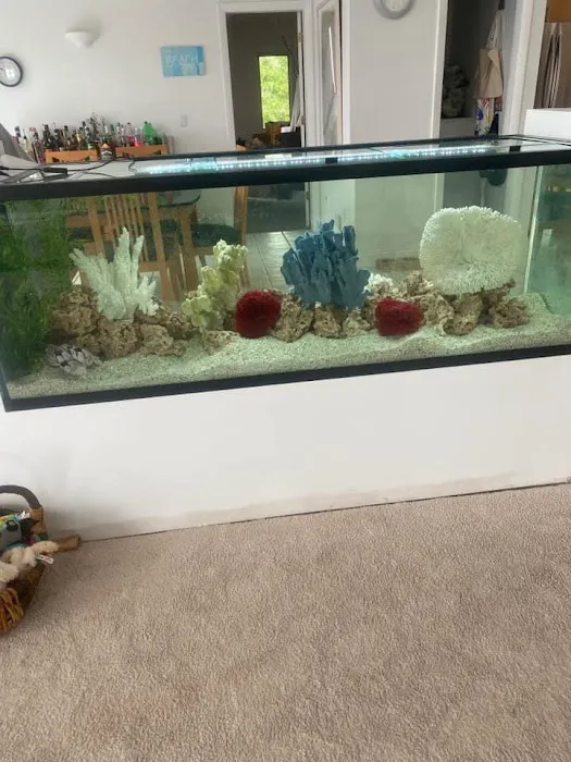 Above & Beyond Aquarium Service Picture 6