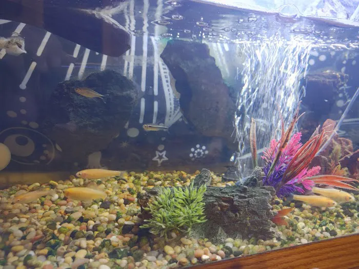 Above & Beyond Aquarium Service Picture 2