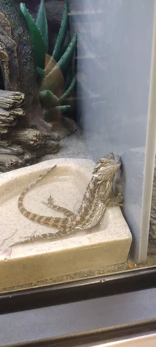 Petco Picture 5